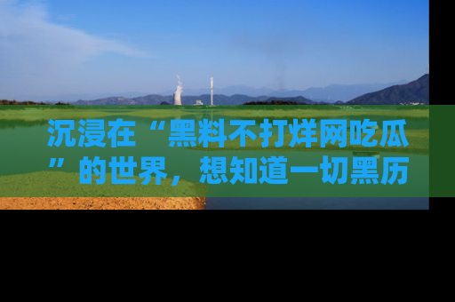 沉浸在“黑料不打烊网吃瓜”的世界，想知道一切黑历史与内幕信息的网站！