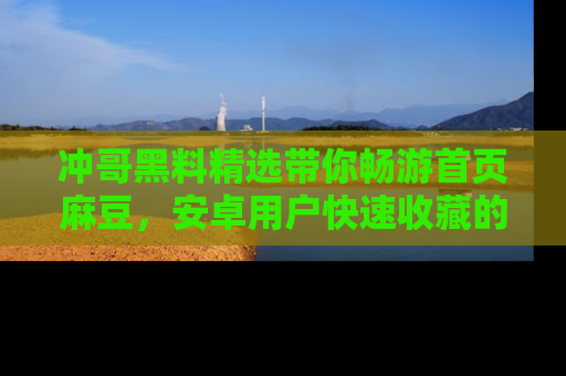 冲哥黑料精选带你畅游首页麻豆，安卓用户快速收藏的秘密武器！