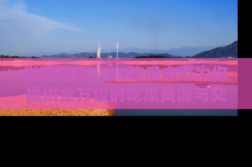 发现更多,51吃瓜中心为你提供全方位的吃瓜资源与交流平台