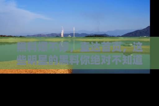 黑料爆不停，直达首页，这些明星的黑料你绝对不知道！