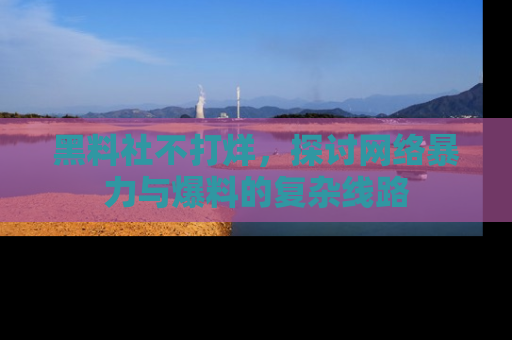 黑料社不打烊，探讨网络暴力与爆料的复杂线路