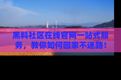 黑料社区在线官网一站式服务，教你如何回家不迷路！