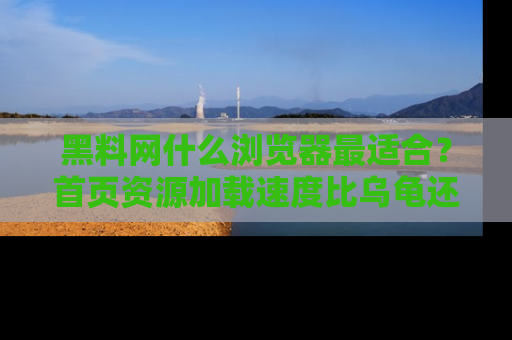 黑料网什么浏览器最适合？首页资源加载速度比乌龟还慢的体验真心吐槽！