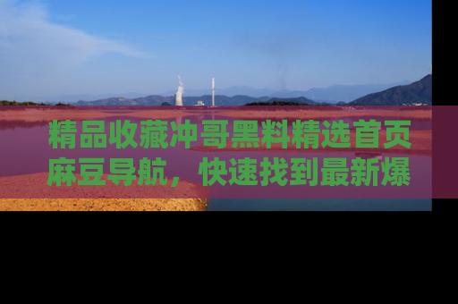 精品收藏冲哥黑料精选首页麻豆导航,快速找到最新爆料