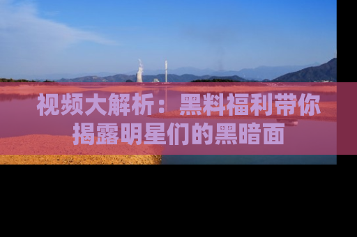 视频大解析：黑料福利带你揭露明星们的黑暗面