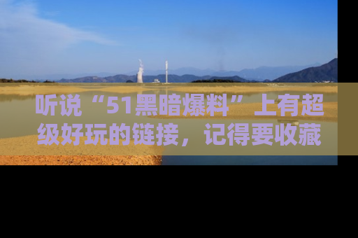 听说“51黑暗爆料”上有超级好玩的链接，记得要收藏哦！