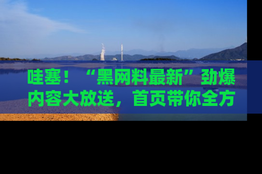 哇塞!“黑网料最新”劲爆内容大放送,首页带你全方位了解哦,小可爱们