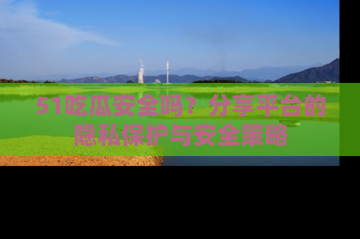 51吃瓜安全吗？分享平台的隐私保护与安全策略
