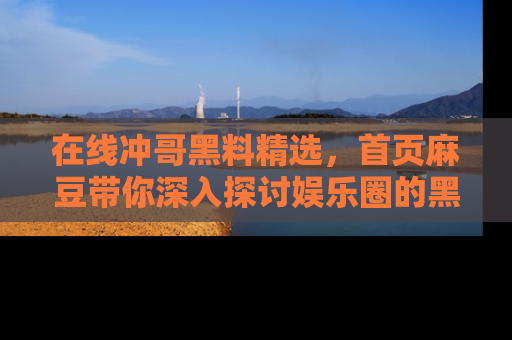 在线冲哥黑料精选，首页麻豆带你深入探讨娱乐圈的黑暗面