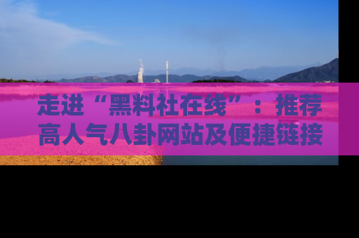 走进“黑料社在线”:推荐高人气八卦网站及便捷链接的全面指南